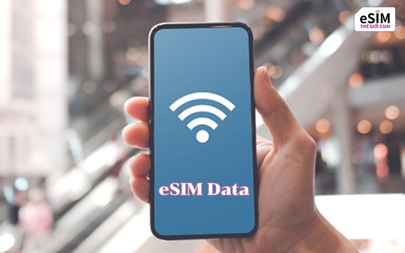 eSIM du lịch có thể phát WiFi nếu gói hỗ trợ hotspot